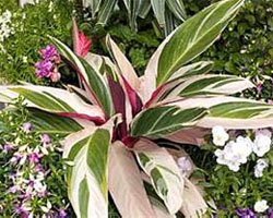 Картинка 16 из 79